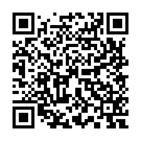 QR code for 300955