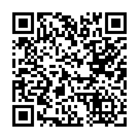 QR code for 300956