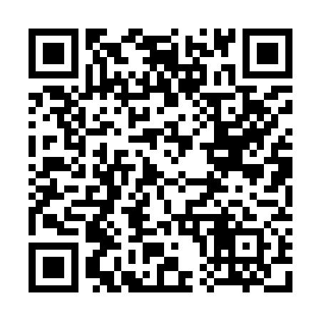 QR code for 300971