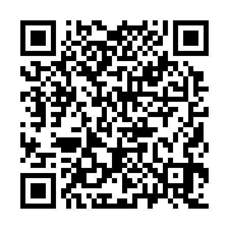 QR code for 301333