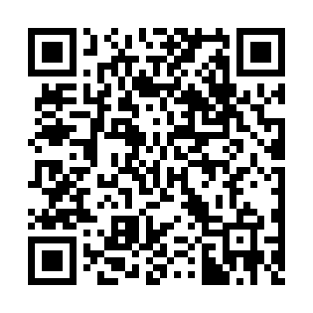 QR code for 302065