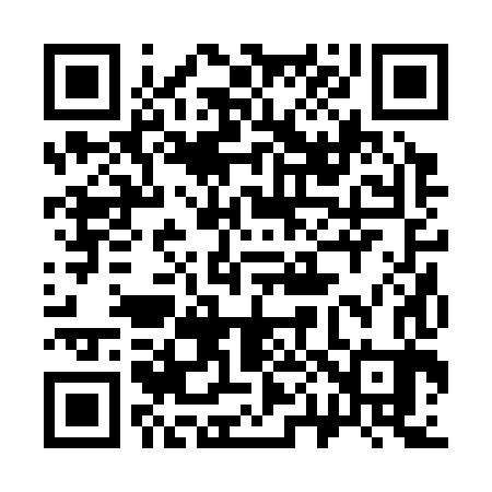 QR code for 302383