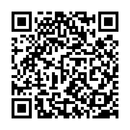 QR code for 303538