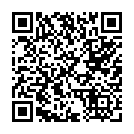 QR code for 304233