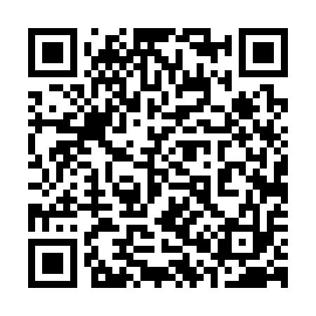 QR code for 304313