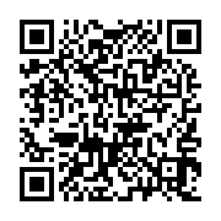 QR code for 304913