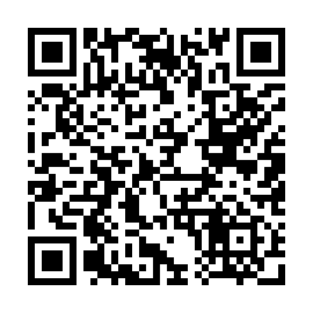 QR code for 305919
