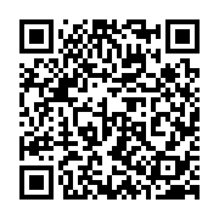 QR code for 306338