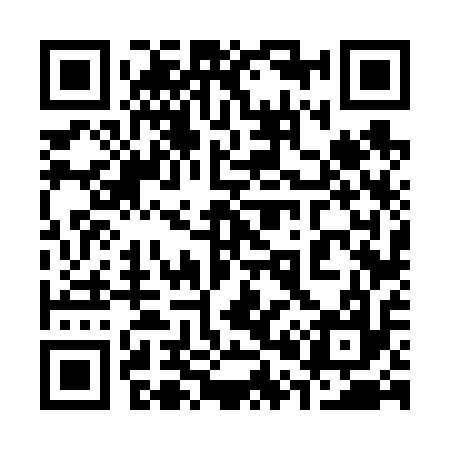 QR code for 306617