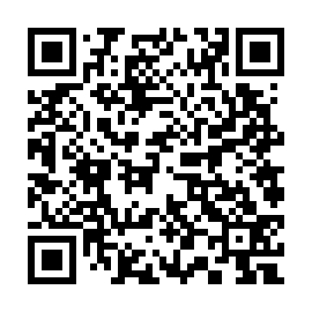 QR code for 306733