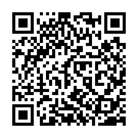 QR code for 306738