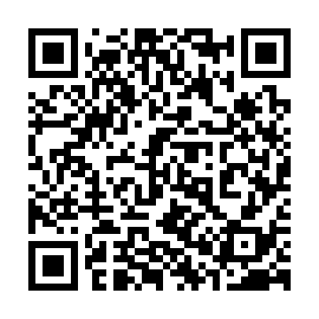QR code for 307338