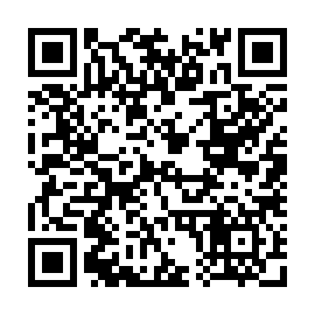 QR code for 307387