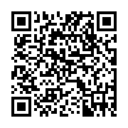 QR code for 307517