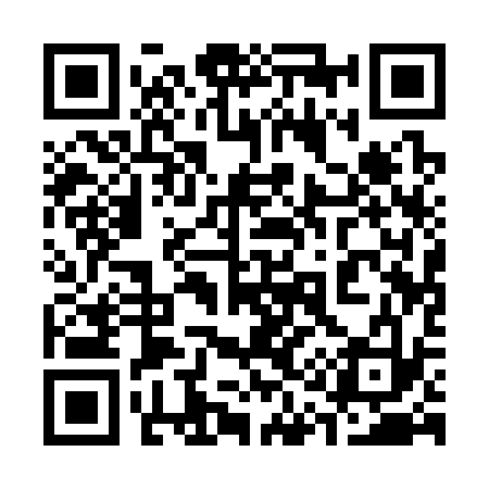 QR code for 311333