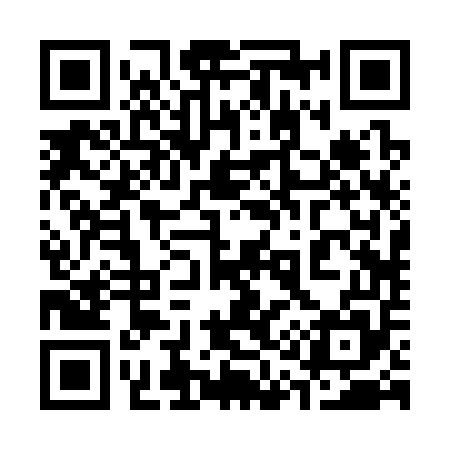QR code for 312355