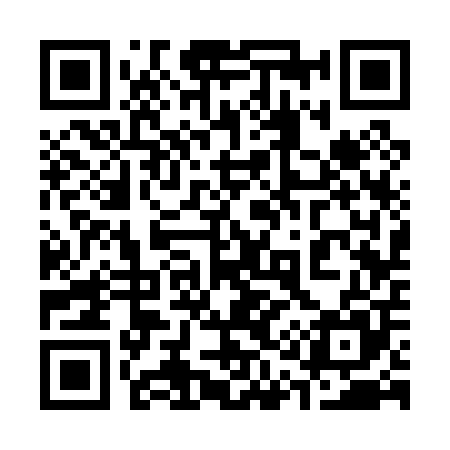 QR code for 313005
