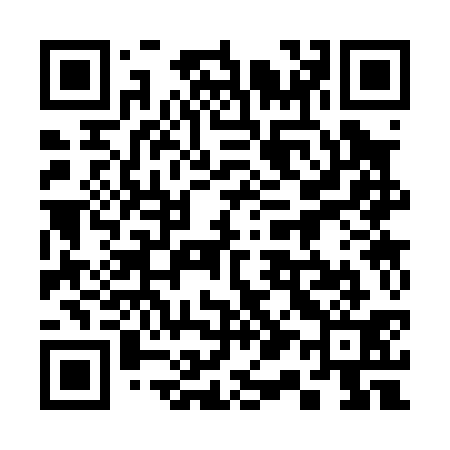 QR code for 313031