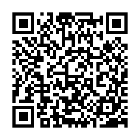 QR code for 313065