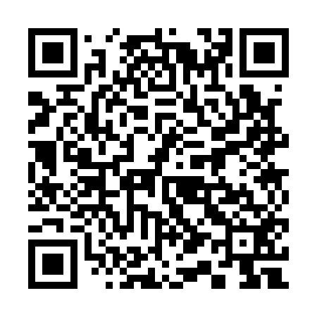 QR code for 313152