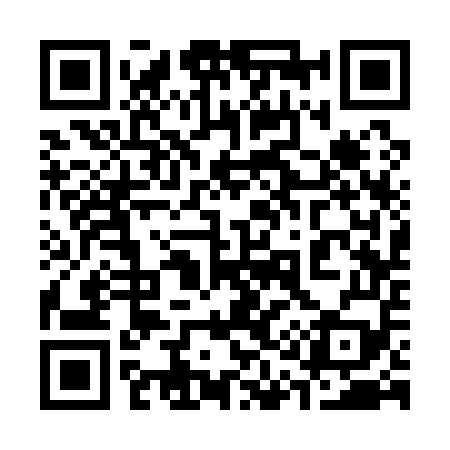 QR code for 313159