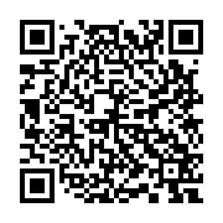 QR code for 313163