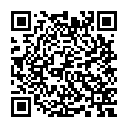 QR code for 313177