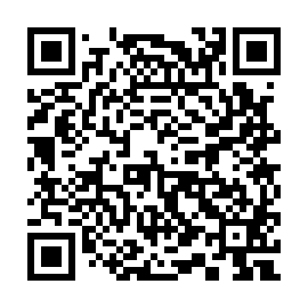 QR code for 313181