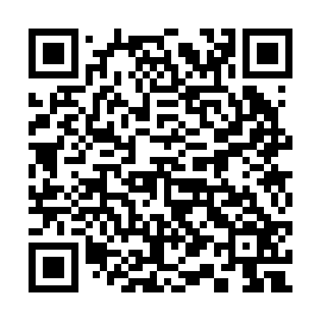 QR code for 313226