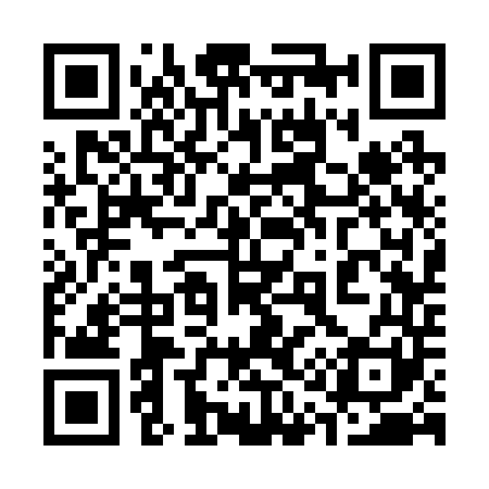 QR code for 313241
