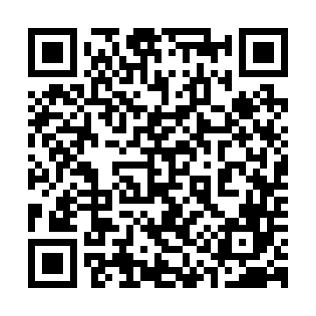 QR code for 313246