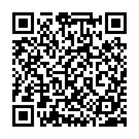 QR code for 313255