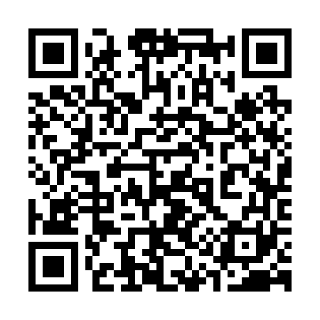 QR code for 313261