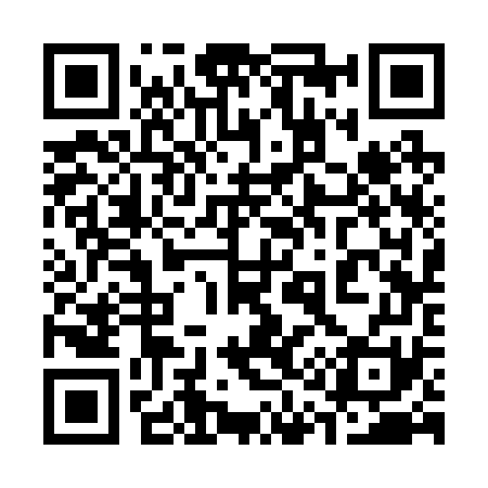 QR code for 313271
