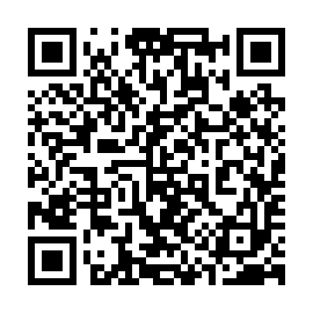 QR code for 313293