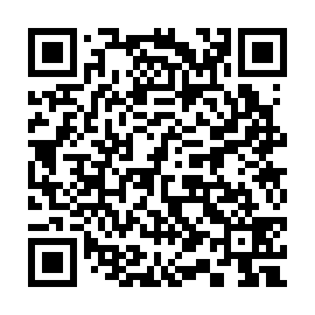 QR code for 313339