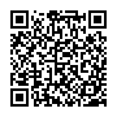 QR code for 313345