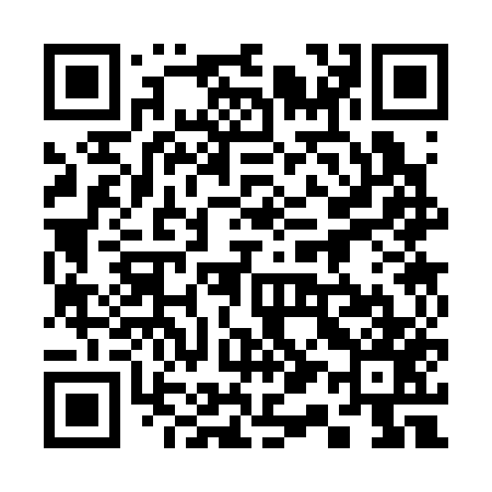 QR code for 313357