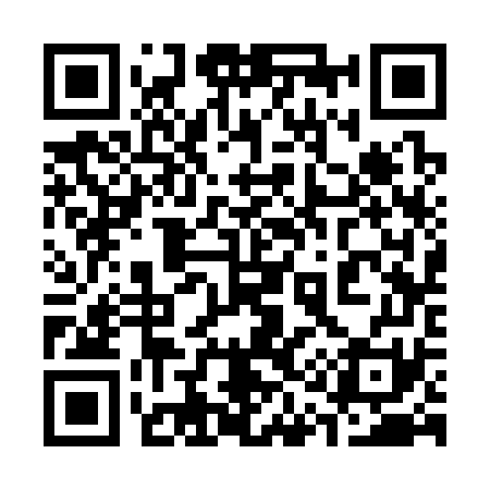 QR code for 313371