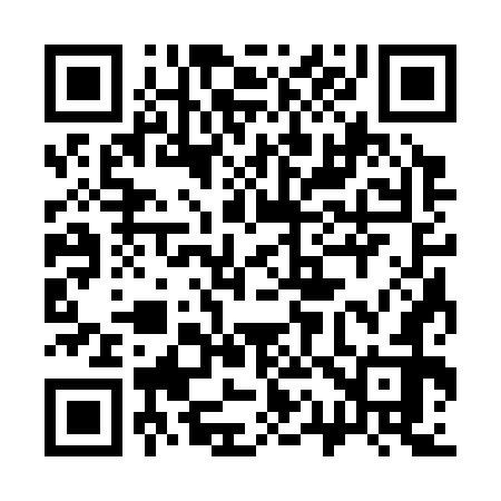 QR code for 313372