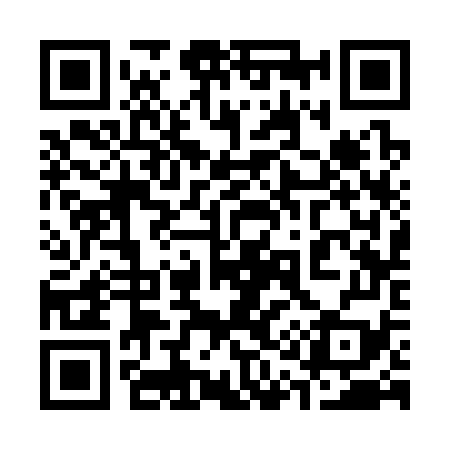 QR code for 313379