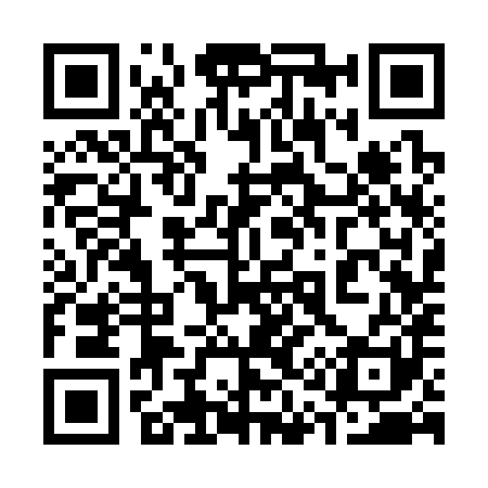 QR code for 313381