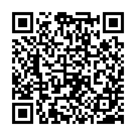 QR code for 313382