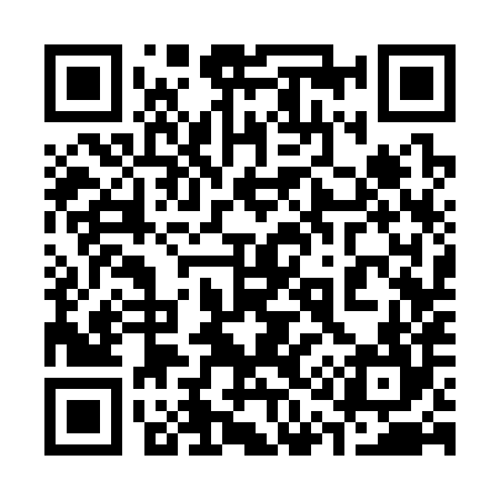 QR code for 313384