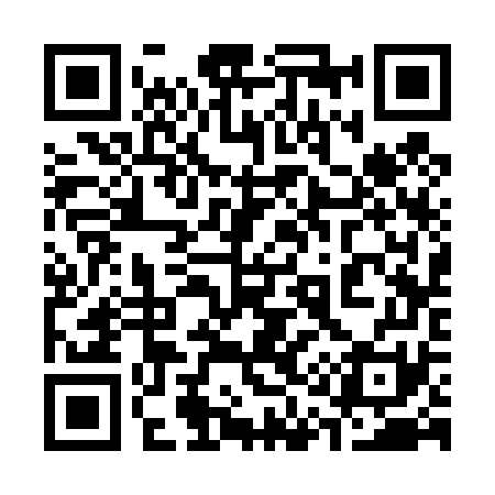 QR code for 313471