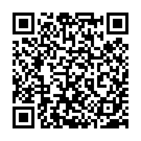 QR code for 313481
