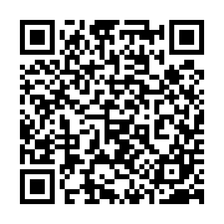 QR code for 313507