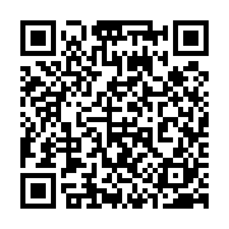 QR code for 313520