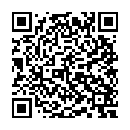 QR code for 313742