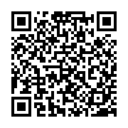 QR code for 313800